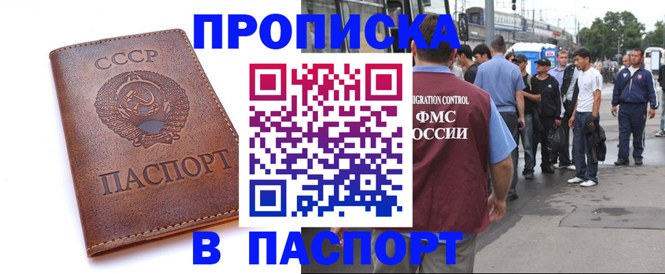 временная регистрация поиск в Новом Осколе